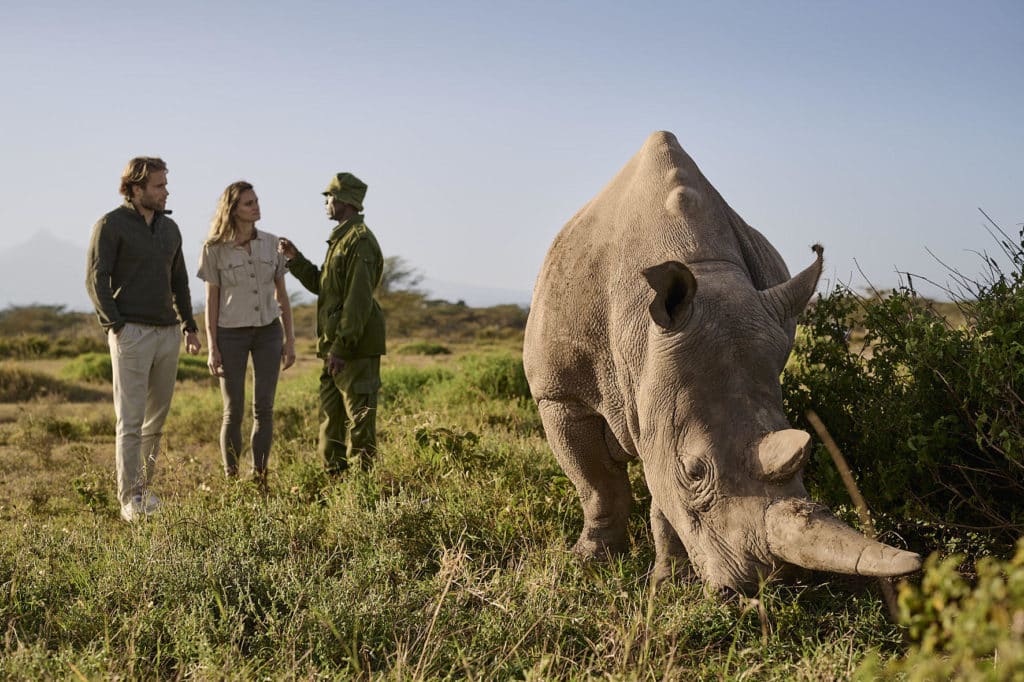 safari gear