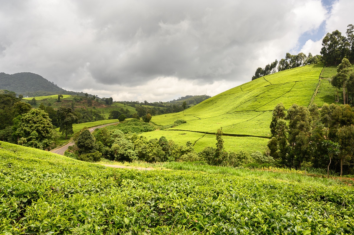 agro tourism in Kenya