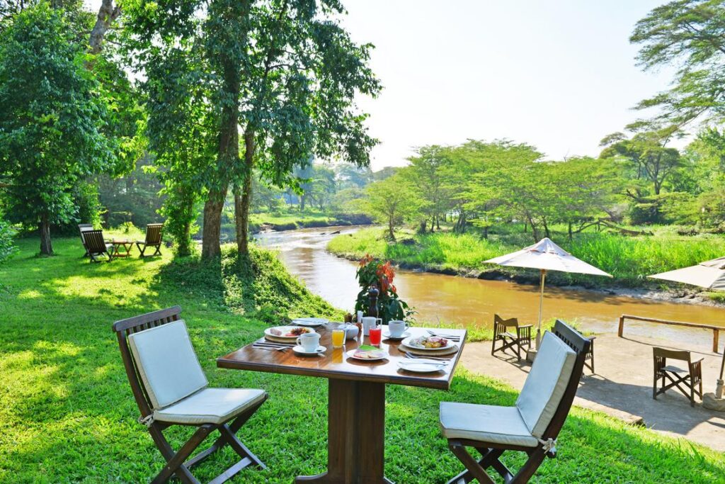 Bush breakfast setting during a Kenya safari 